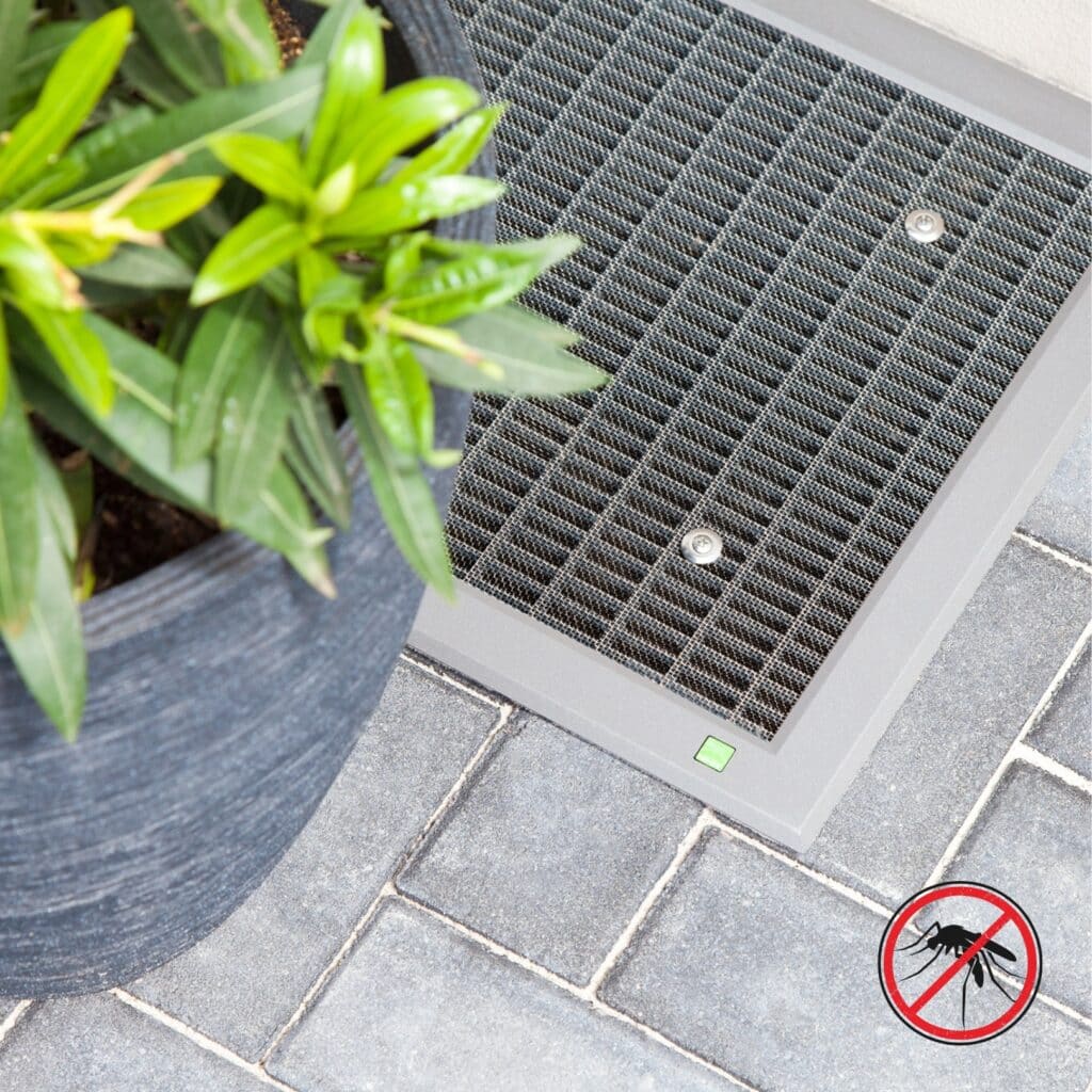 tiegermuecke in Deutschland verschiedene Arten von Insektenschutz kellerfenster